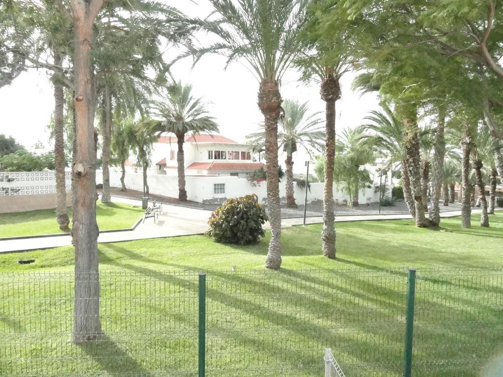 Apartment Virginia Playa de las Americas  Exterior photo