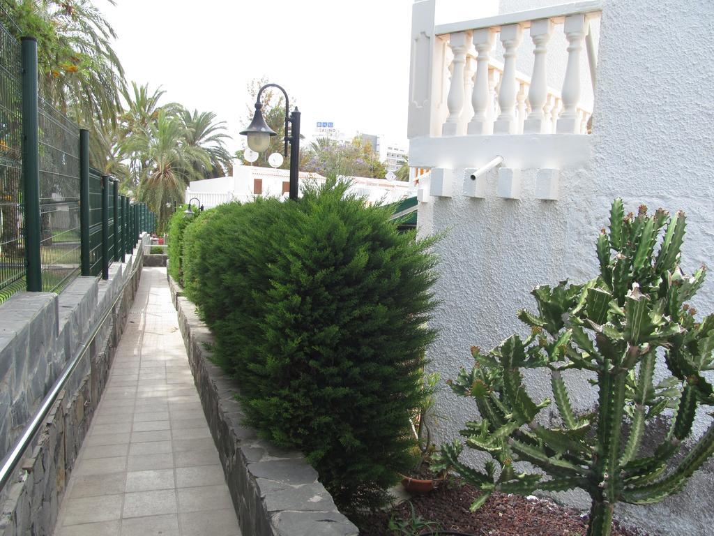 Apartment Virginia Playa de las Americas  Room photo
